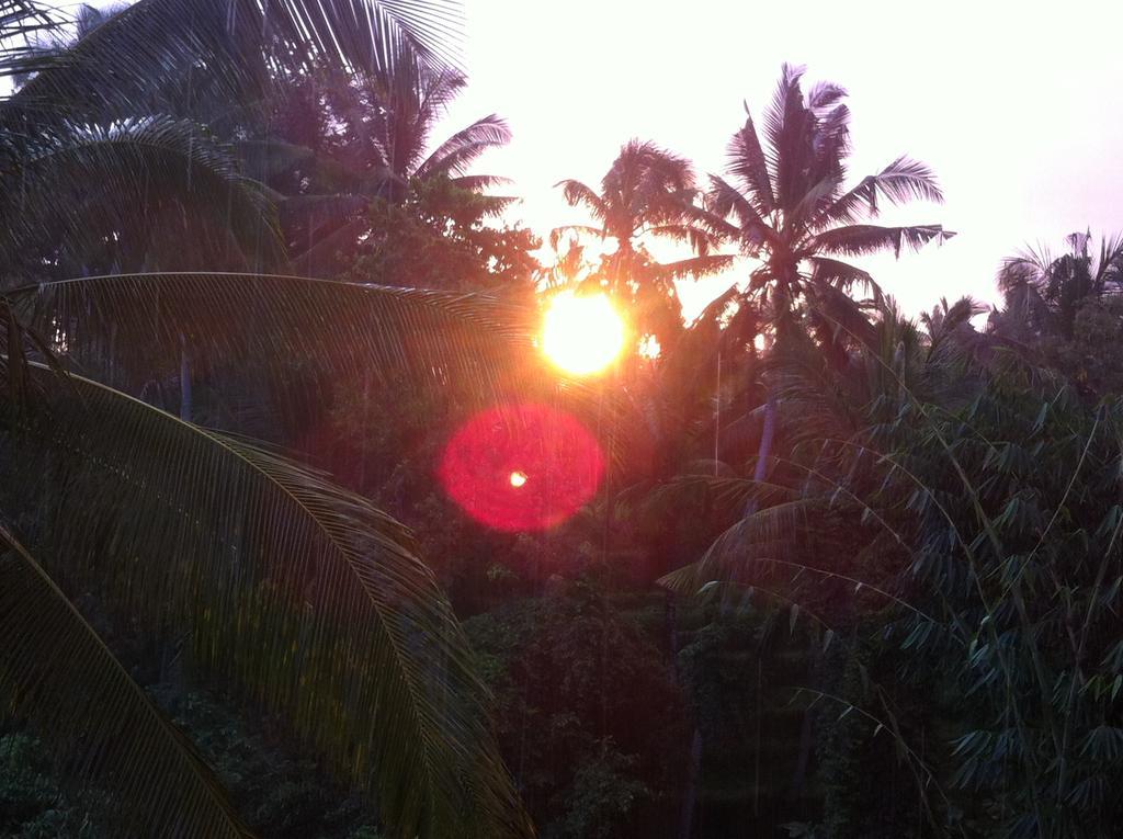 White Lotus Oasis Hotel Ubud Exterior foto