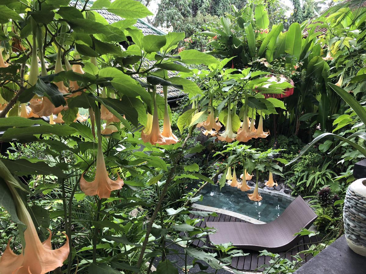 White Lotus Oasis Hotel Ubud Exterior foto